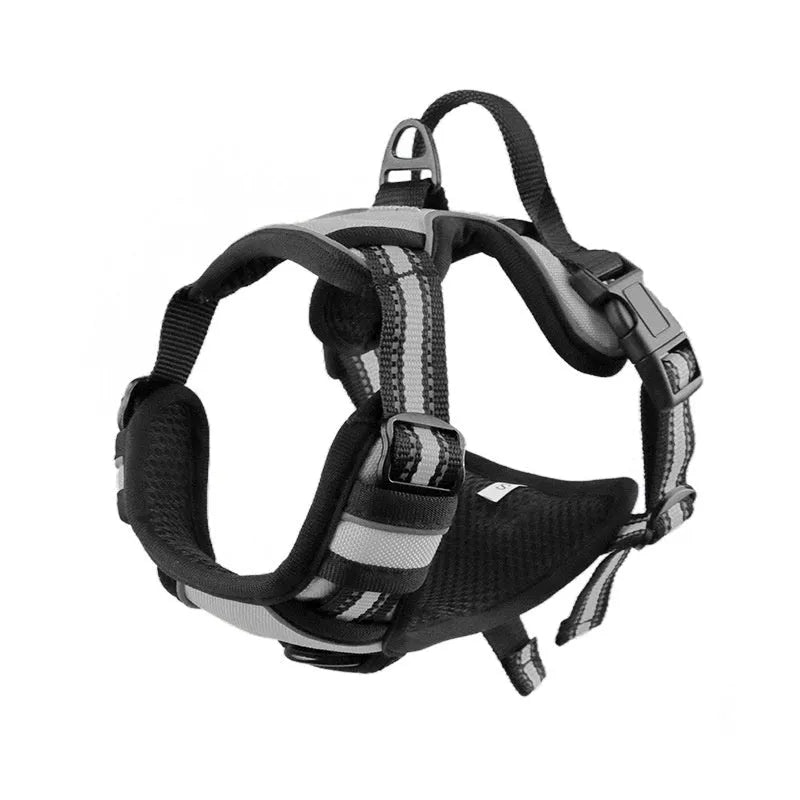Adjustable Oxford cloth dog harness with a control handle on the strap, shown in a choice of colours.