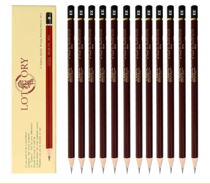 Professional drawing charcoal set showing multiple pencil grades from 4H to 14B with specialist soft carbon tools