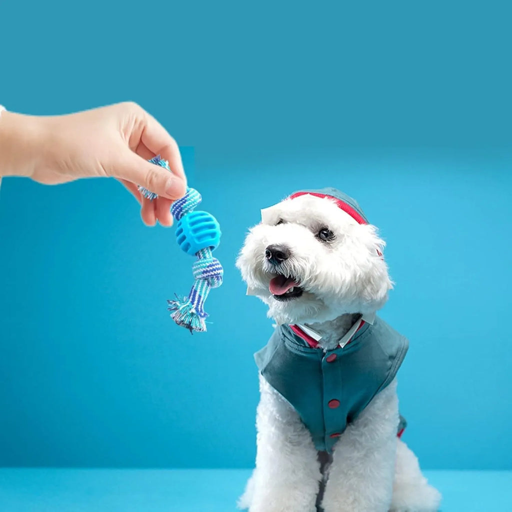 Blue dog chew toy with integrated rope strands for dental cleaning and play.