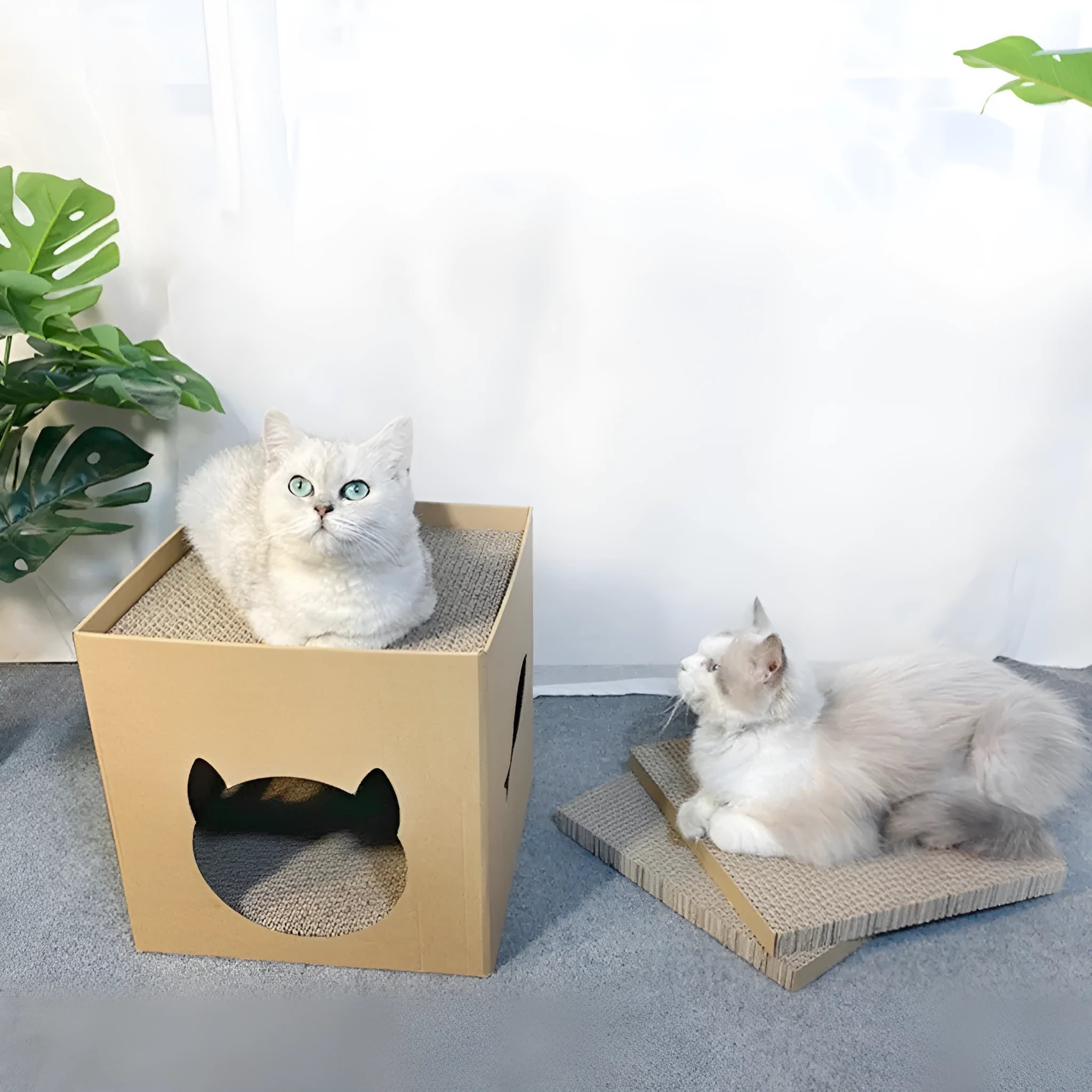 Vertical square cat scratch board with corrugated paper surface in pet milk carton colour