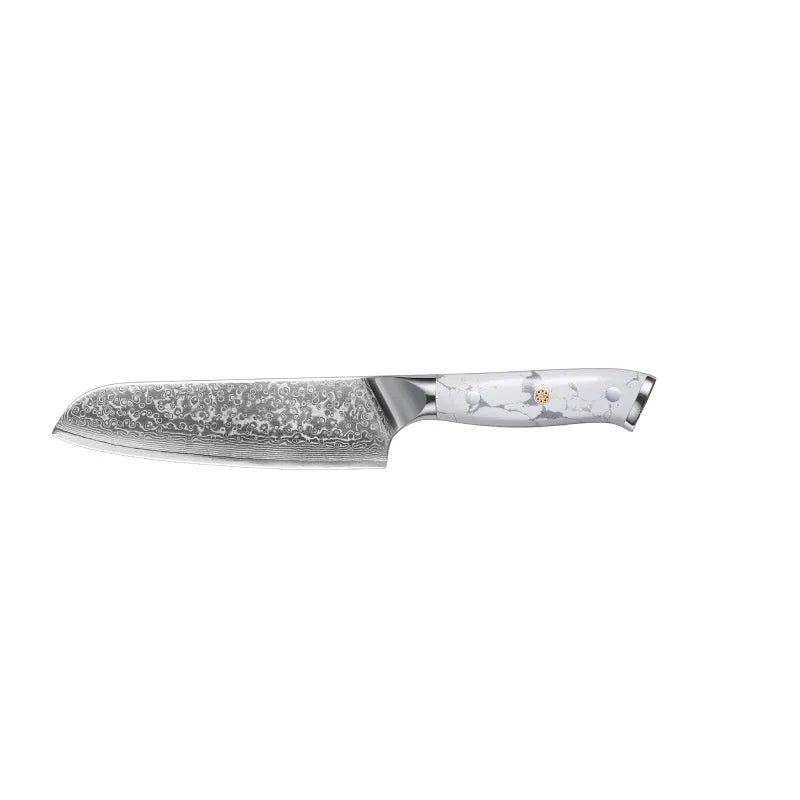 Damascus steel kitchen knife with 21cm VG10 blade and modern simple design