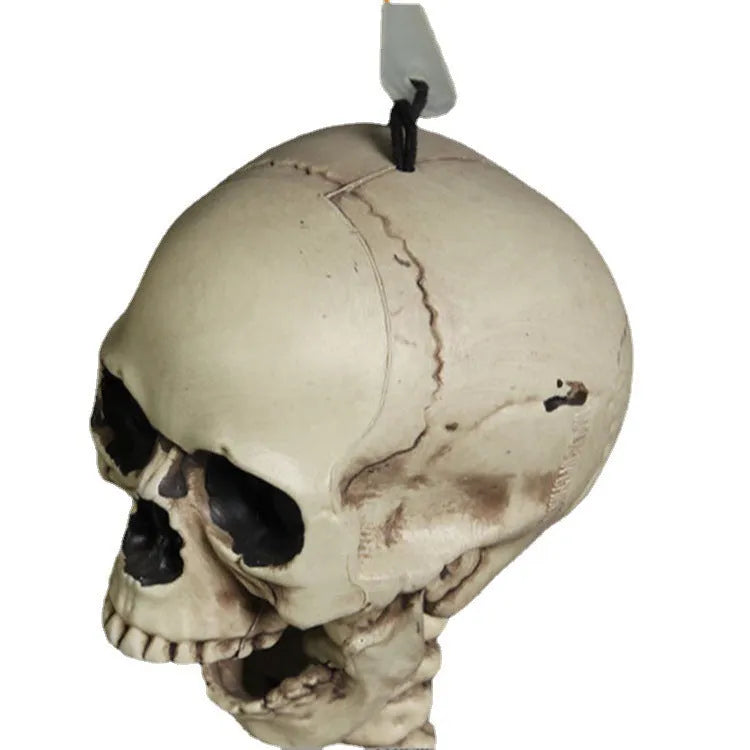Full-size 170cm tall plastic skeleton prop for Halloween and event decoration