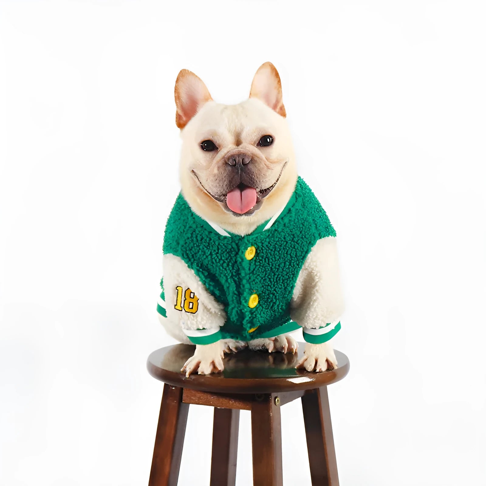 Green fleece-lined dog coat for winter with cotton exterior and multiple size options