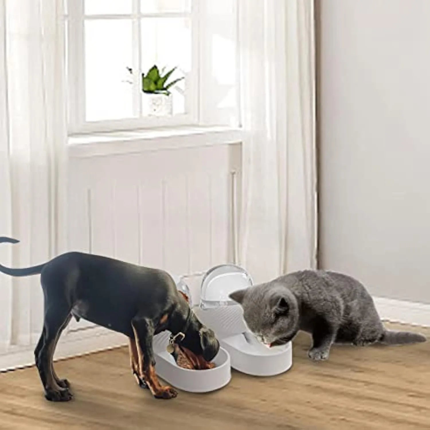 White gravity cat feeder and water dispenser set with wave-shaped design, 2L capacity each.