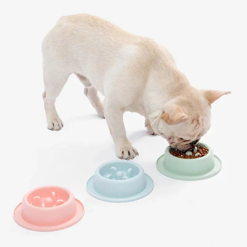 Blue pet slow feeder bowl with maze pattern and non-slip base on a kitchen floor