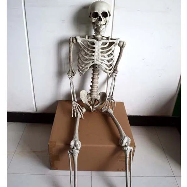 Full-size 170cm tall plastic skeleton prop for Halloween and event decoration