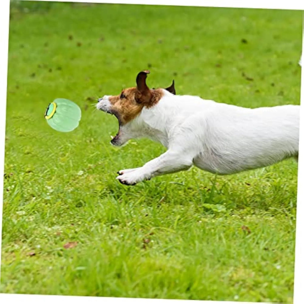 Small green plastic dog ball with pumpkin design for chew toy and training
