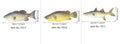 PU simulated fish ornament set showing yellow-fin tuna, flower fish, small tuna and yellow croaker ocean animal models