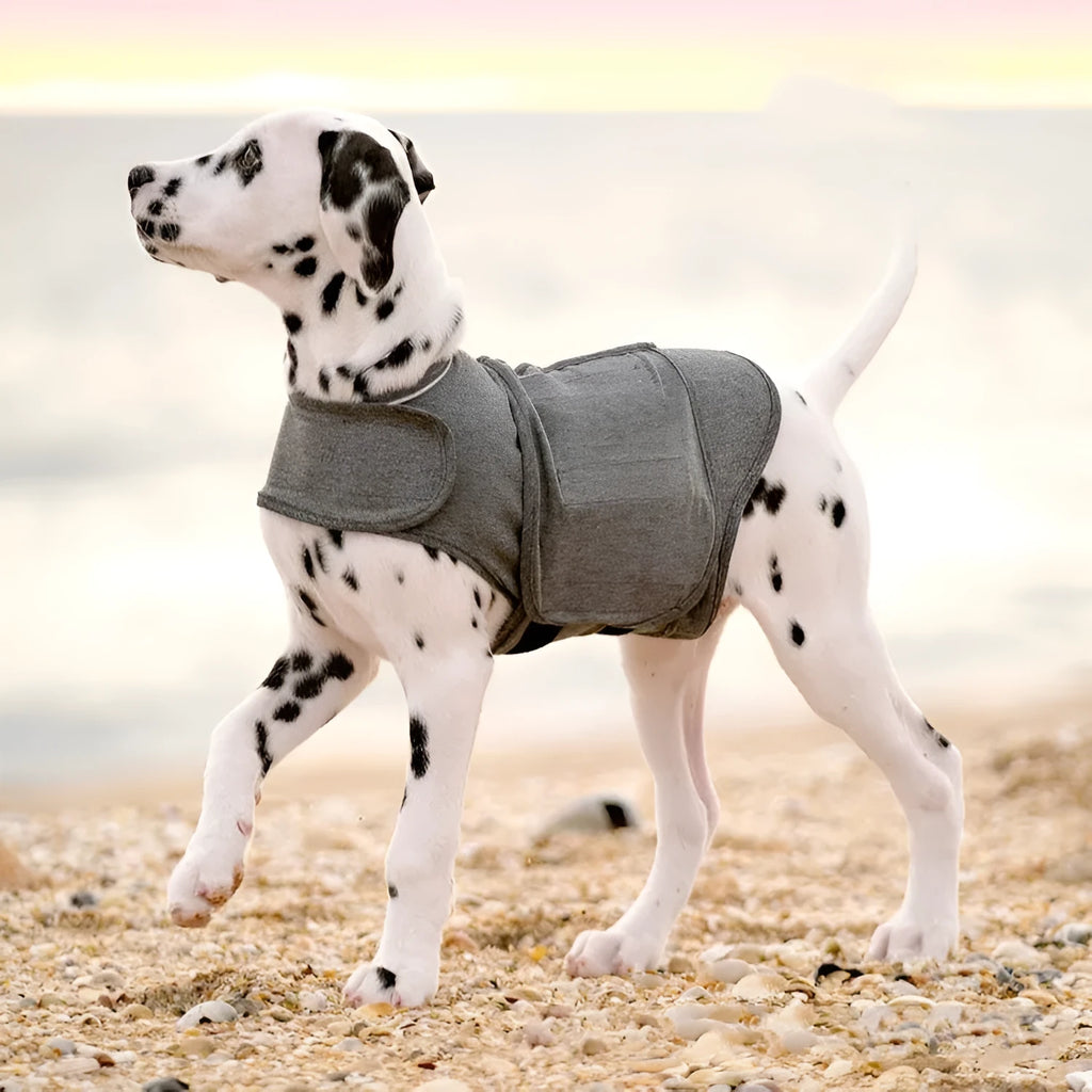 Heather grey dog anxiety vest or calming jacket on a model, showing size range from XXS to XXL.