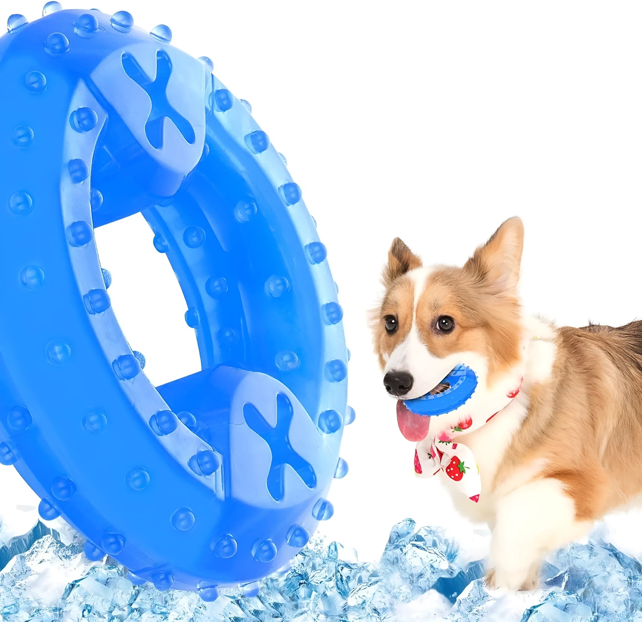 Freezable plastic bone and circle shaped dog chew toys for teething puppies.