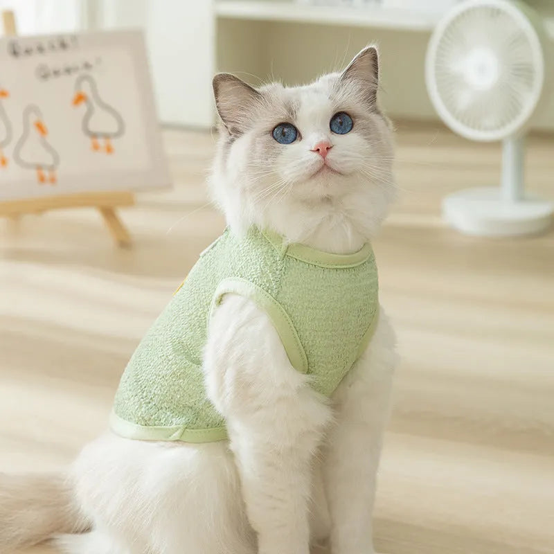 Breathable knitted cat costume with bear patch in blue, green, or yellow colours