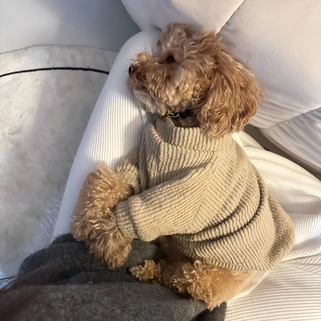 Brown cloth dog sweater pullover for small breeds in sizes XS to XL