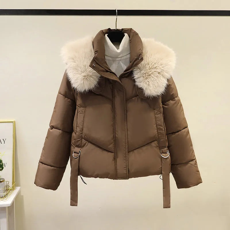 Women's short cotton-padded jacket in loose style with stand-up collar