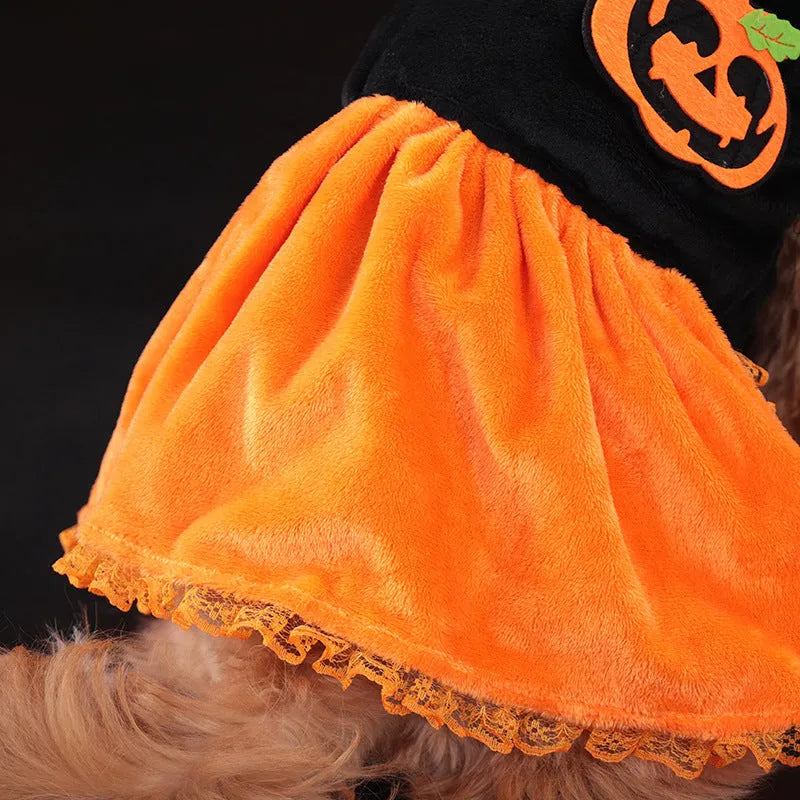 A dog wearing a crystal velvet Halloween pumpkin skirt costume, showing the soft fabric and festive design.