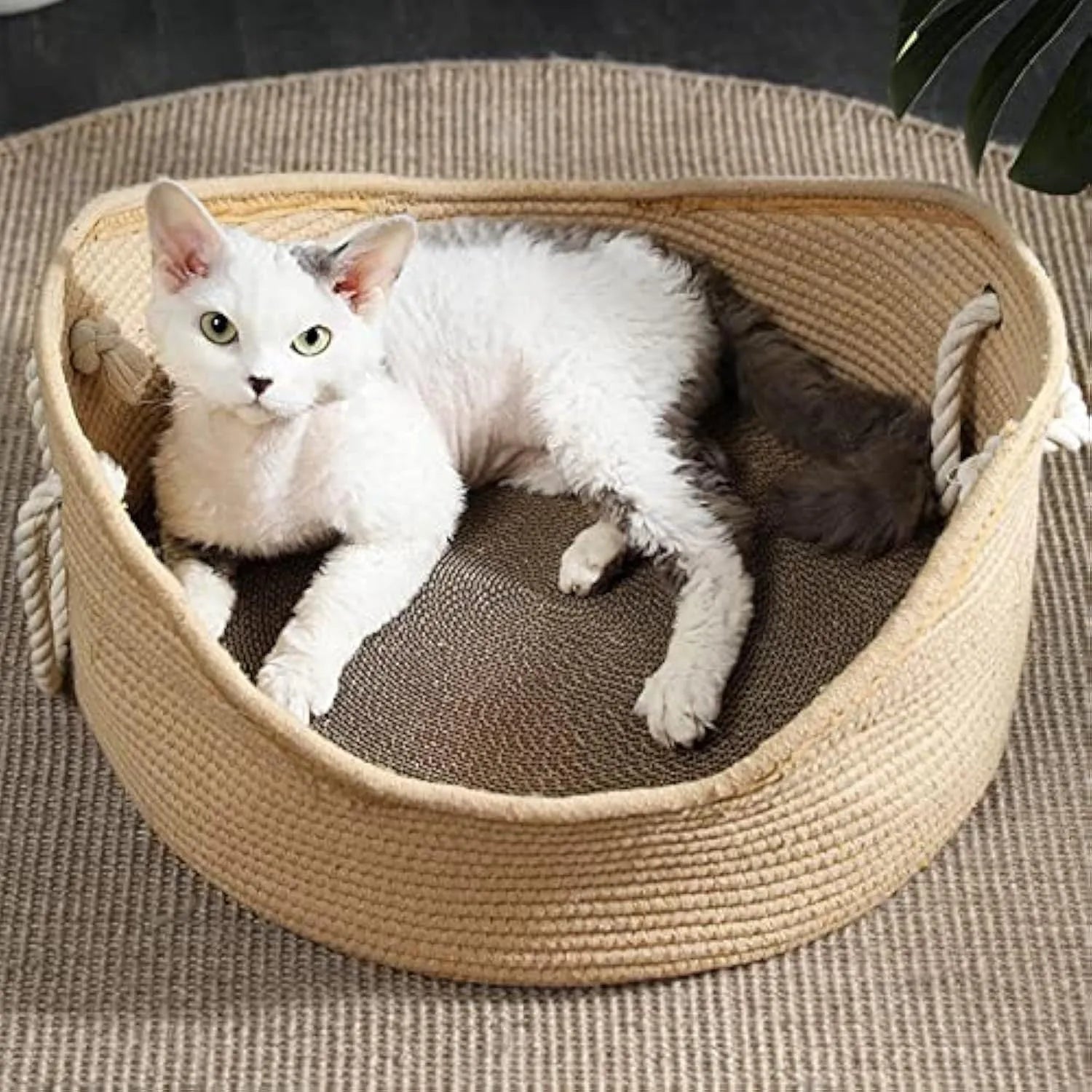 Wicker cat bed basket with built-in corrugated scratching board, shown in two available sizes for cats.