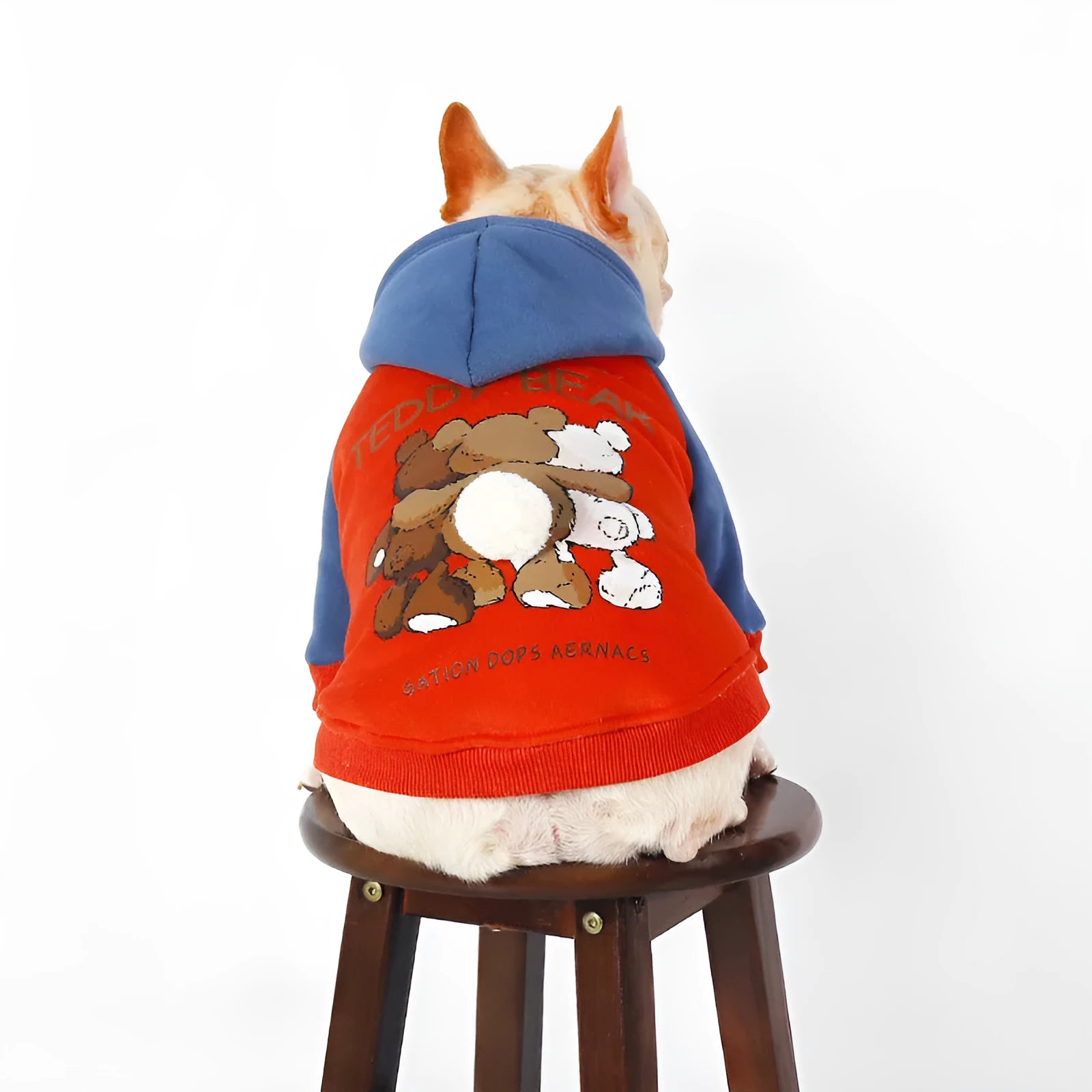 Red cotton dog jumper for small and medium breeds like Teddy, Bichon, and Corgi on a white background.