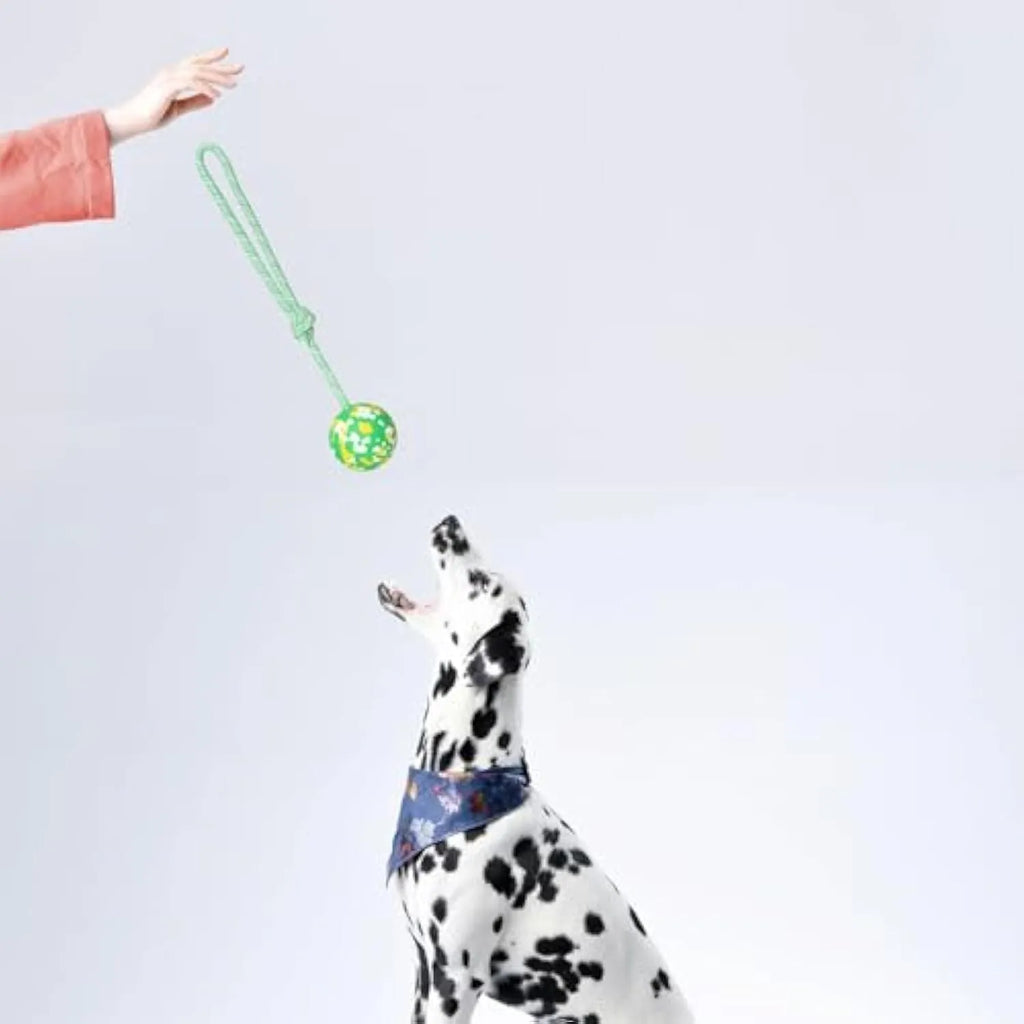 Natural rubber dog ball on nylon rope toy for medium and small dogs in two size options