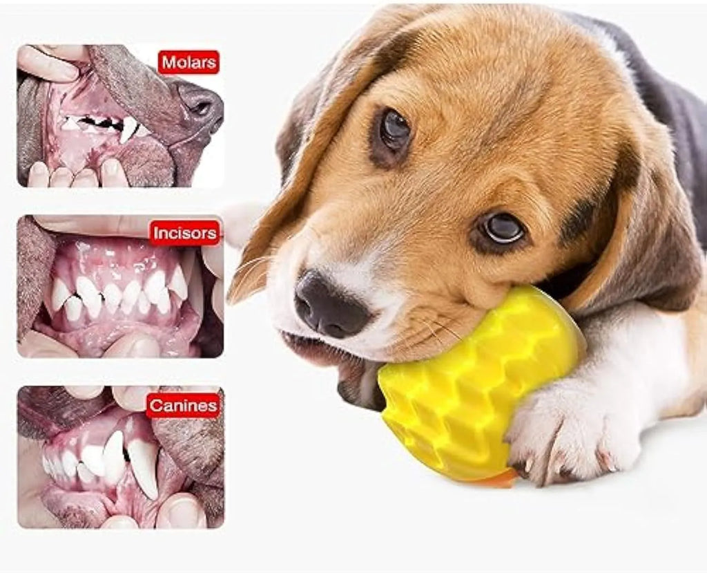 Blue or orange durable rubber dog ball with spiky cleaning bumps and squeaker for aggressive chewers