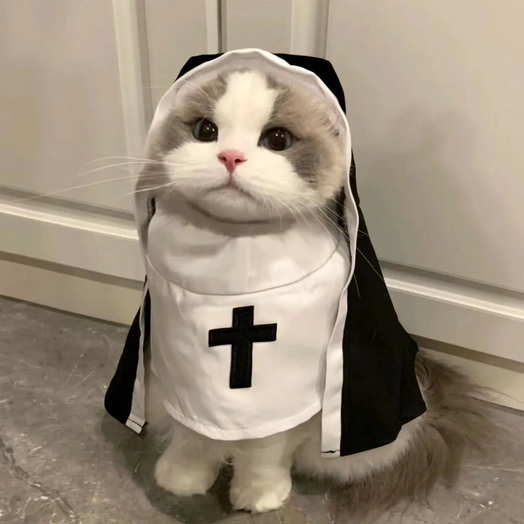 Black and white nun costume for small or medium dog with cloak design