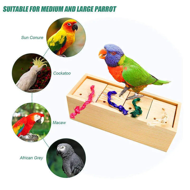 Wooden parrot foraging puzzle toy set with multiple pieces for bird training