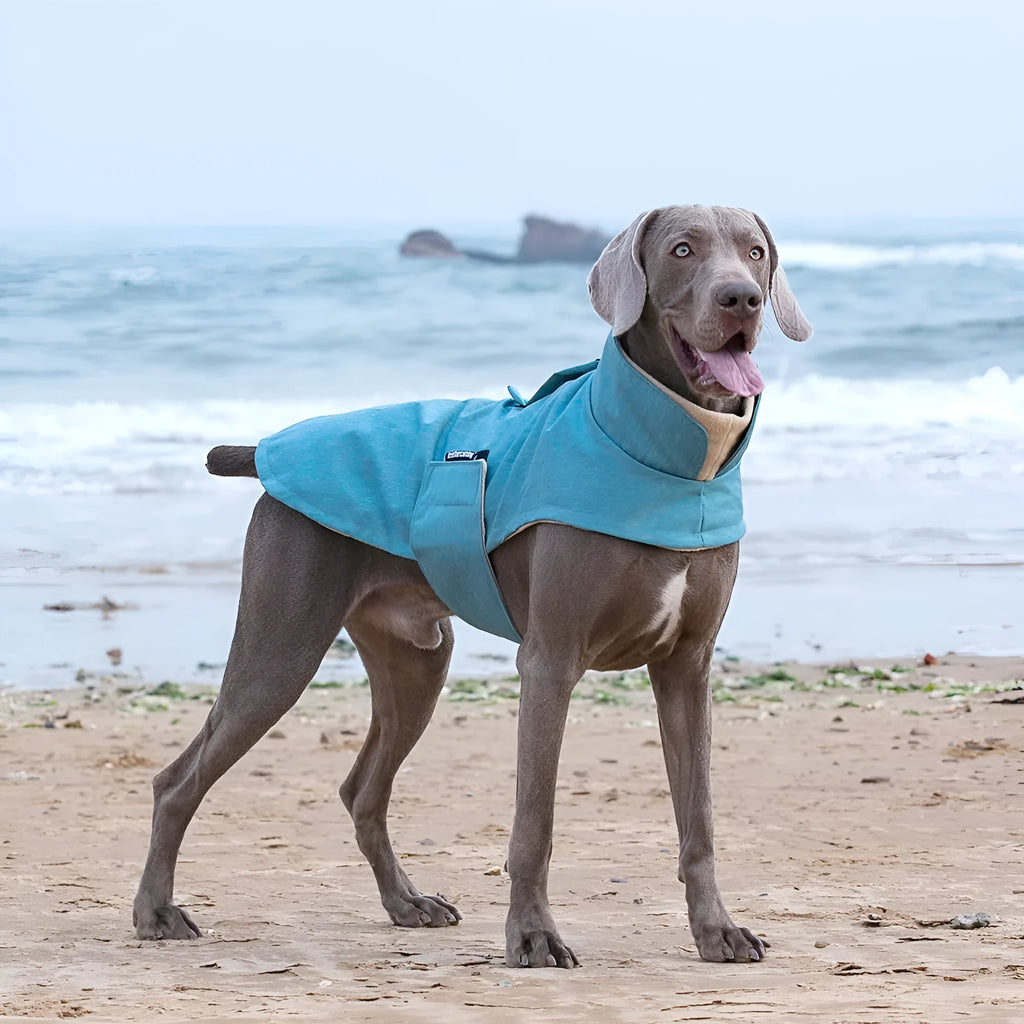 Grey polyester dog vest for a medium large breed on a white background.