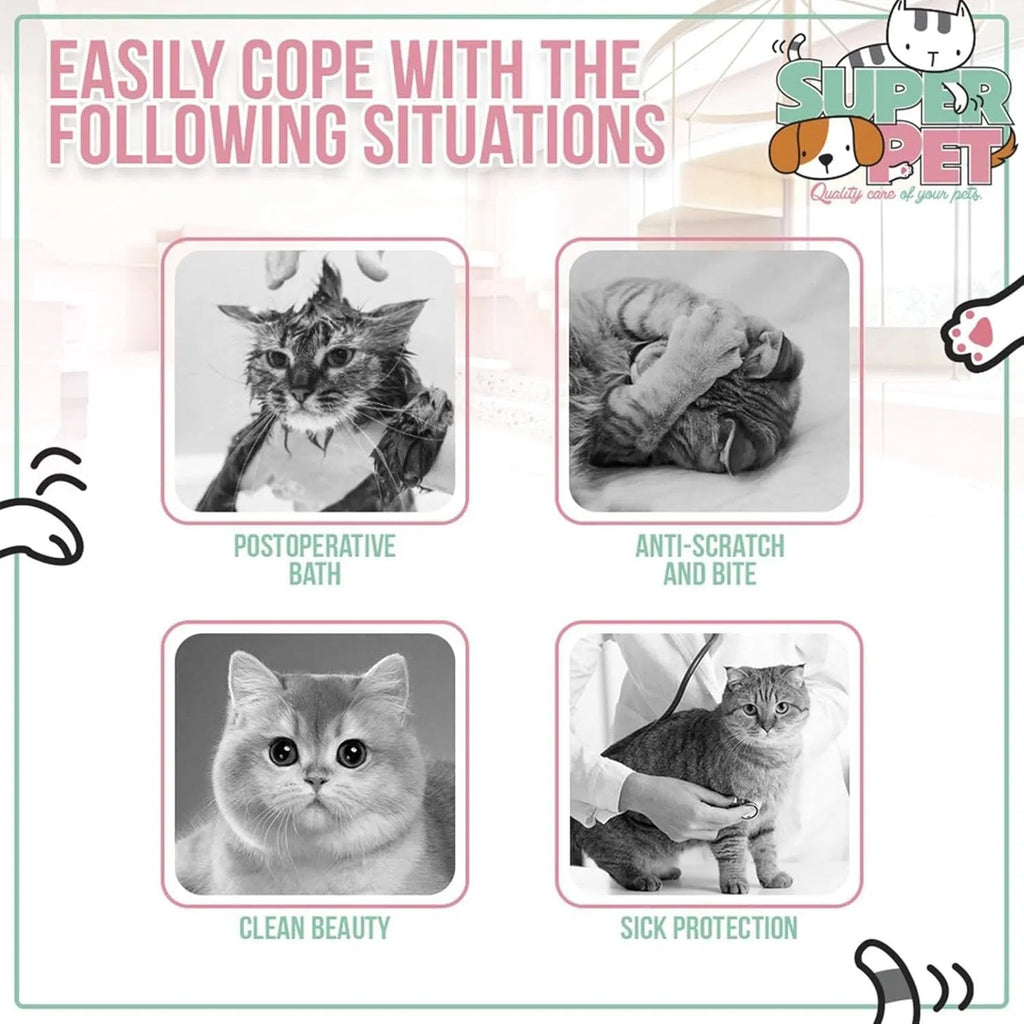 Soft cat cone collar with cute bee design shown on cat