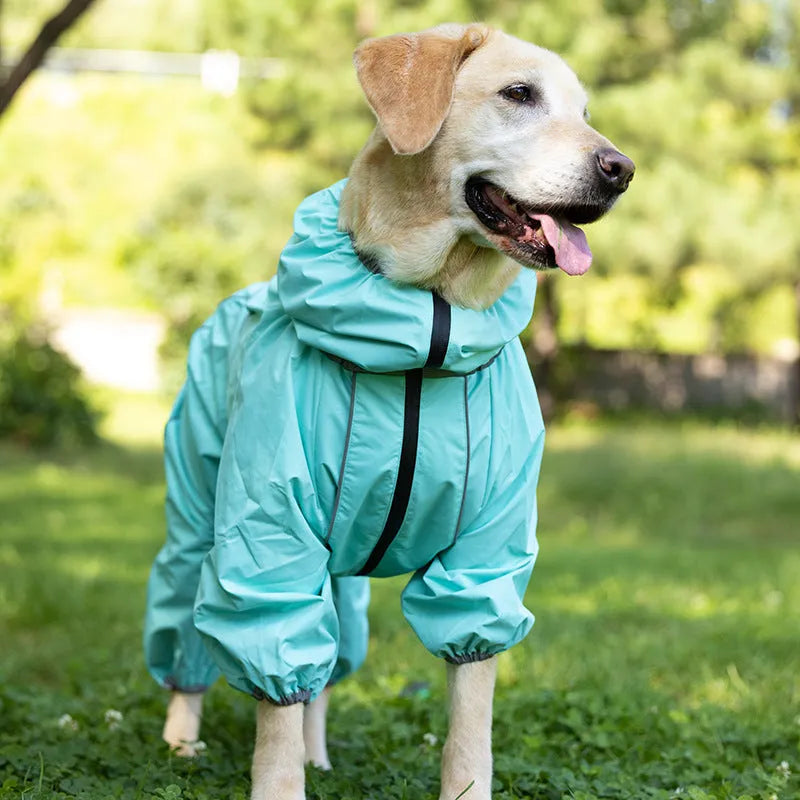 Dog wearing red polyester shell jacket with cotton-padded interior for warmth