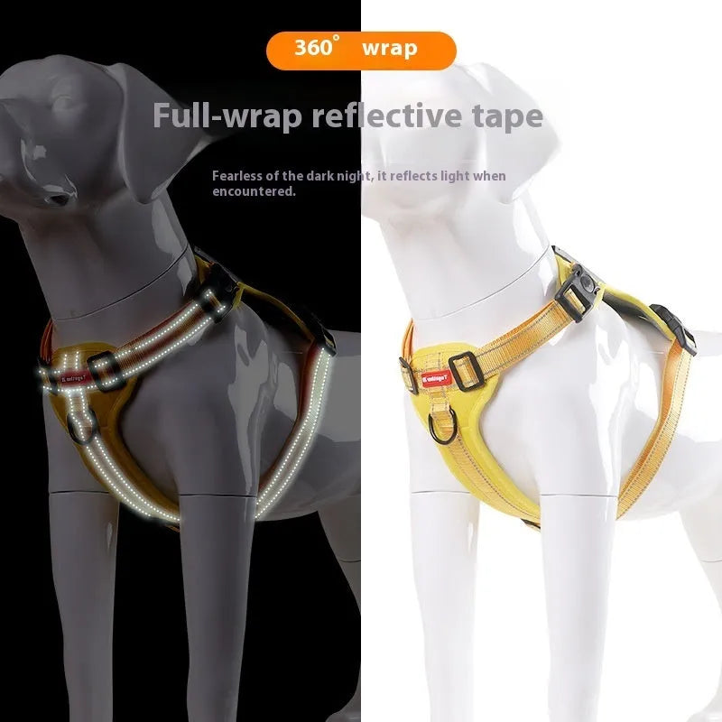 A dog wearing a blue adjustable chest harness with an attached lead, shown in a size large.