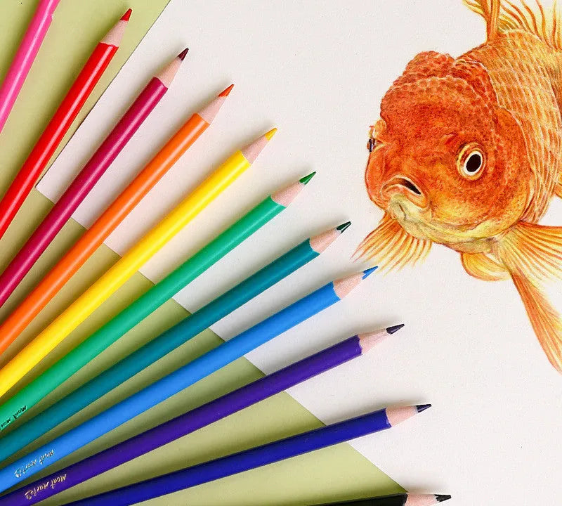 24 colour wood cased HB pencils in cartoon packaging set for drawing