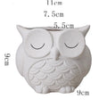 Ceramic succulent flower pot with frosted cartoon owl design measuring 11cm high by 9cm wide
