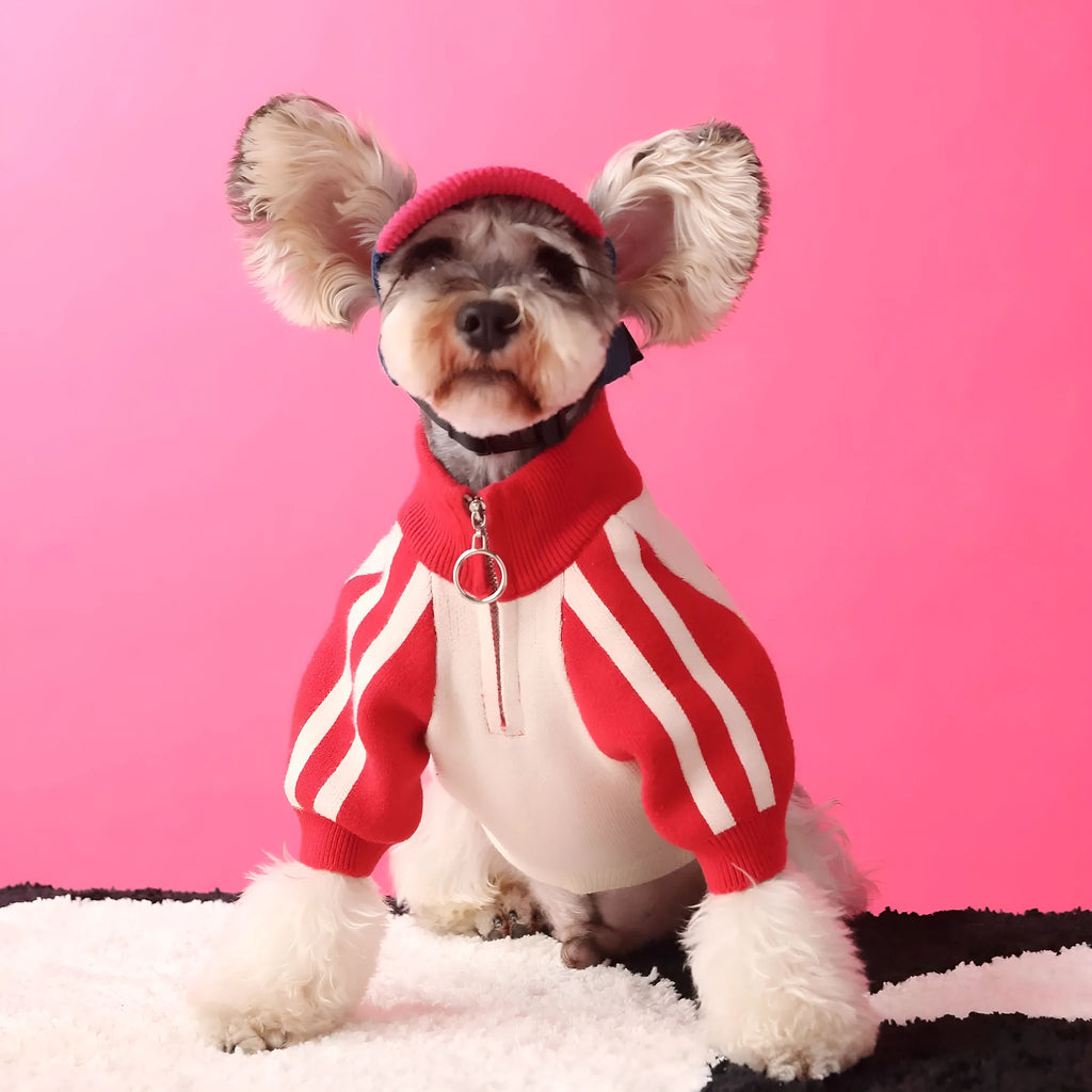 Wool dog sports cardigan sweater in dark green or red on canine model