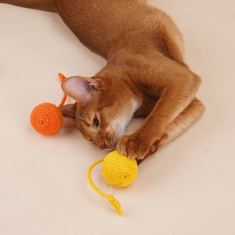 Cat toy set with blue teaser stick and multicoloured catnip ball on white background