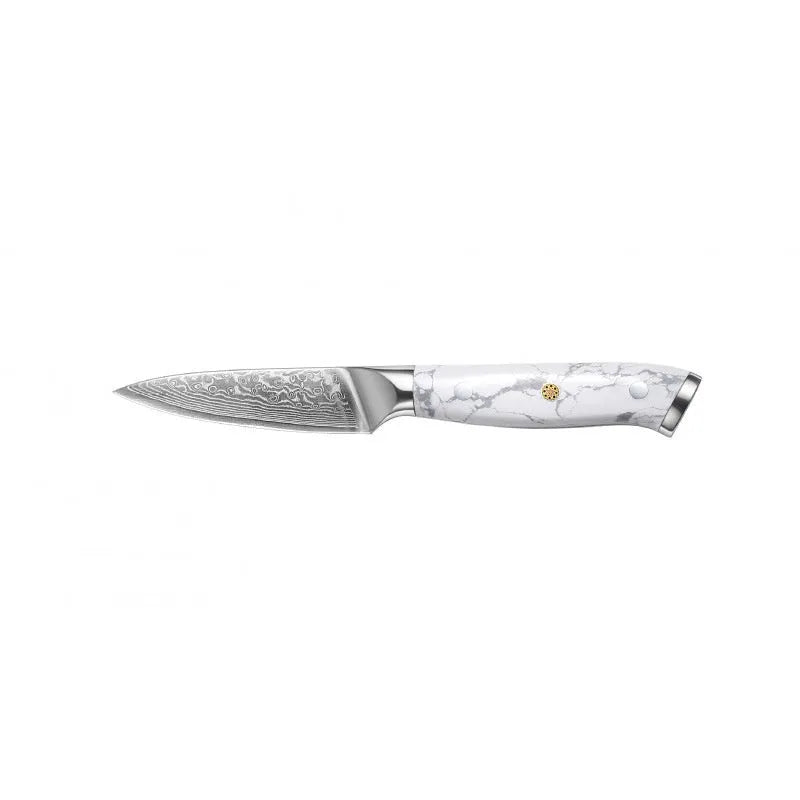 Damascus steel kitchen knife with 21cm VG10 blade and modern simple design