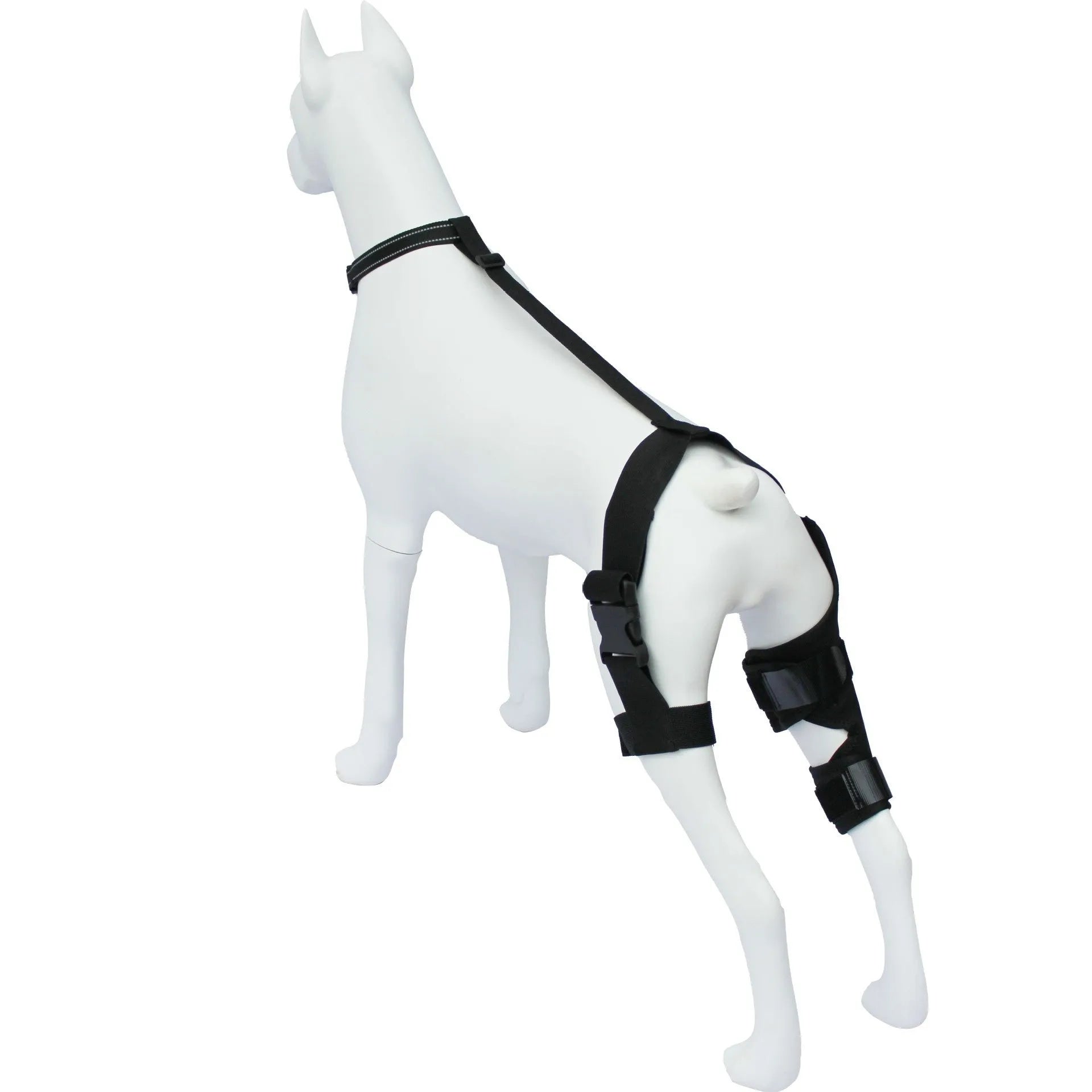 Neoprene dog knee brace support strap wrapped around canine hind leg in silver grey colour