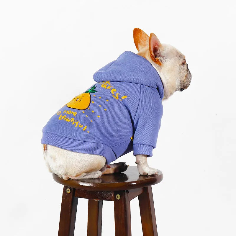 Blue and purple cartoon printed cotton pet hoodie for dogs and cats in winter