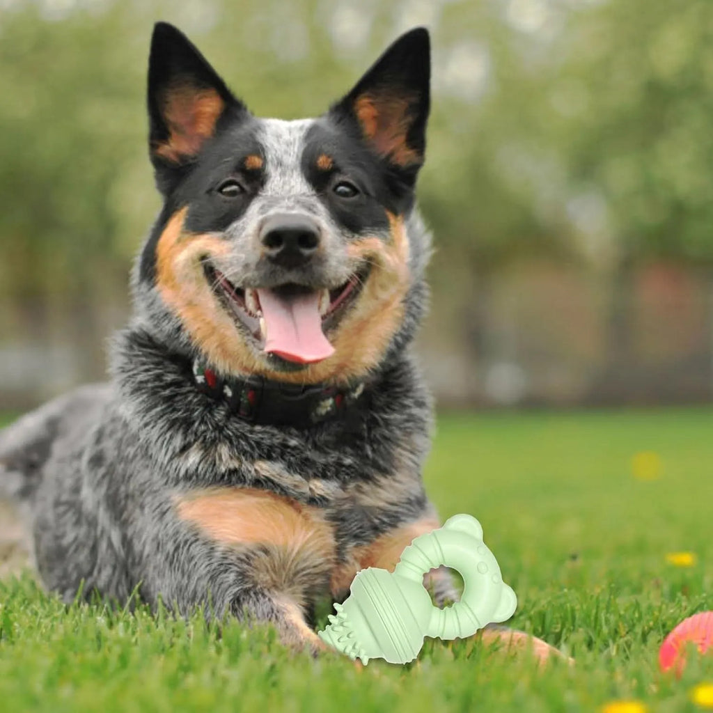Blue rubber dog chew toy with molar-clean pattern and concave-convex teeth cleaning surface