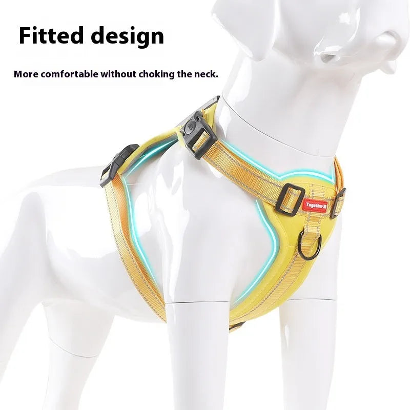 A dog wearing a blue adjustable chest harness with an attached lead, shown in a size large.