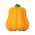 Orange Bite Molar plastic dog chew bone toy with an attached rope handle on grass.