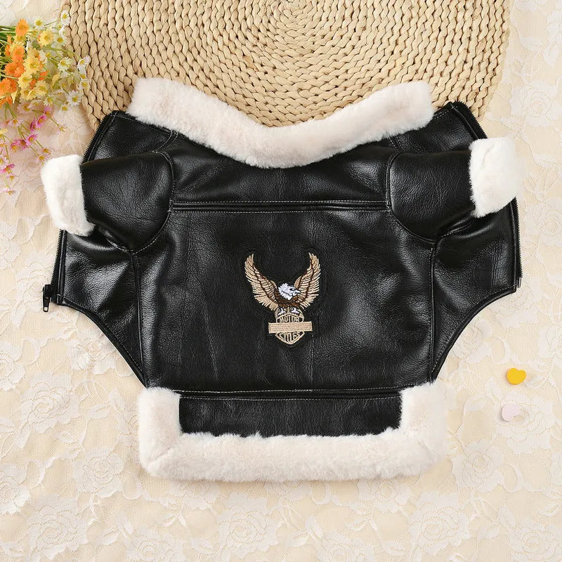 Black leather dog jacket for a medium-sized dog during autumn.