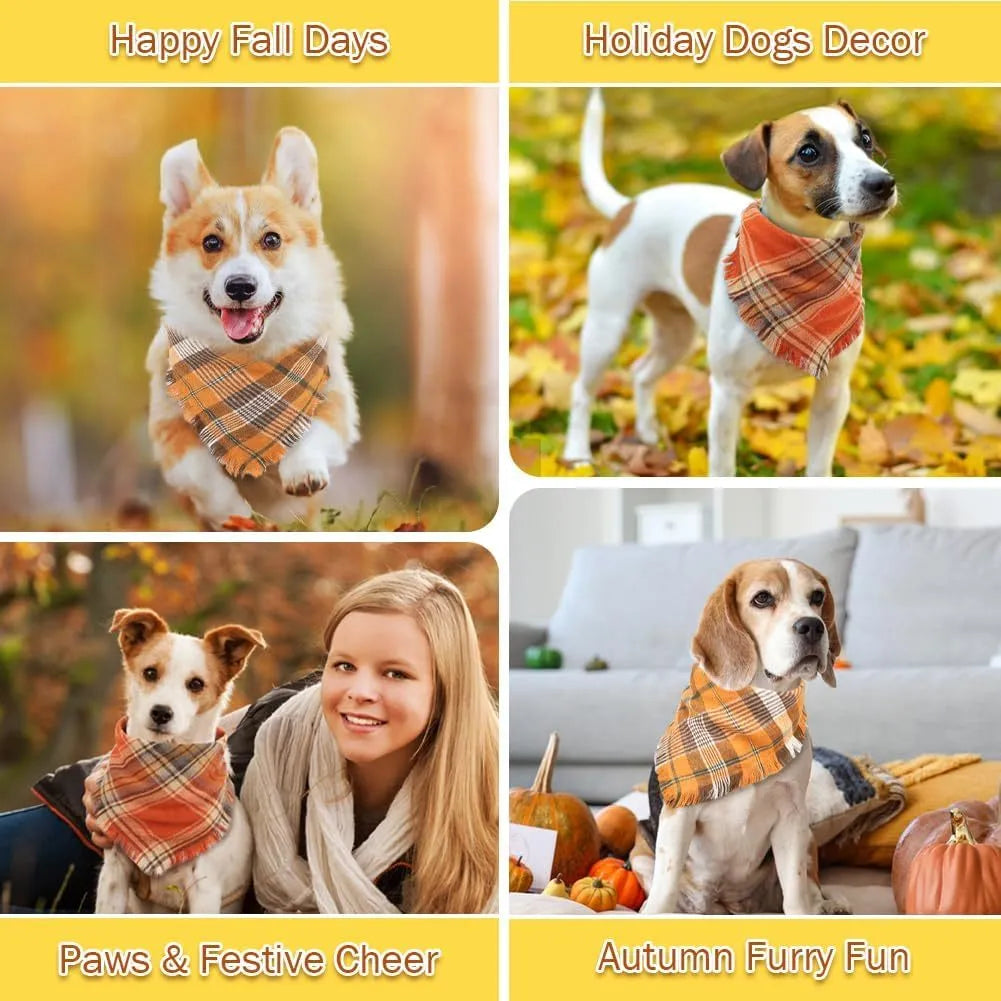 Autumn plaid dog bandana with tassel edges in seasonal colours