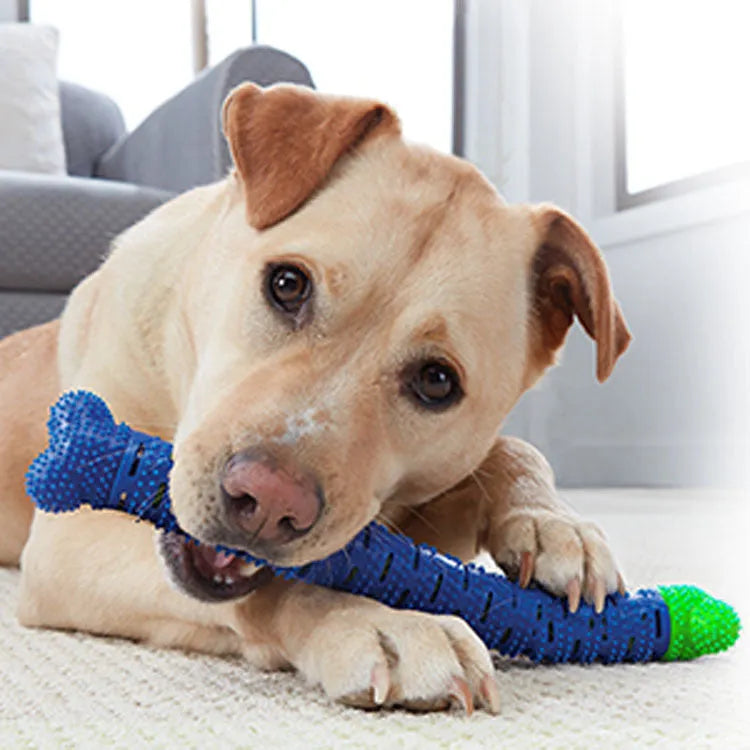 Blue green dog dental cleaning toy stick measuring 25 cm with silicone brush core and massage nodules