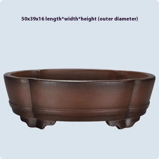 A rectangular purple clay bonsai pot with a simple classical design, shown on a tabletop.