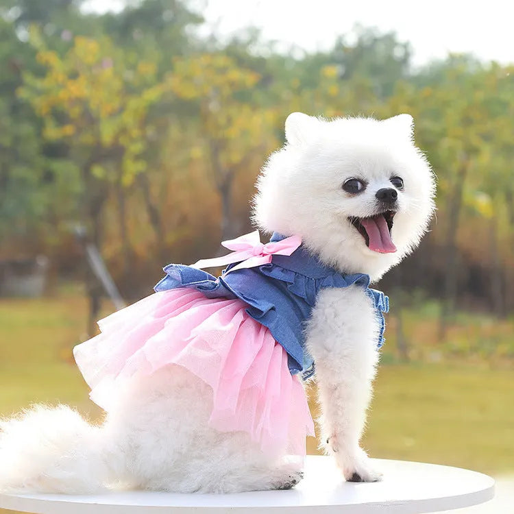 Korean denim pet skirt with creative bow detailing in pink or white yarn for small dogs