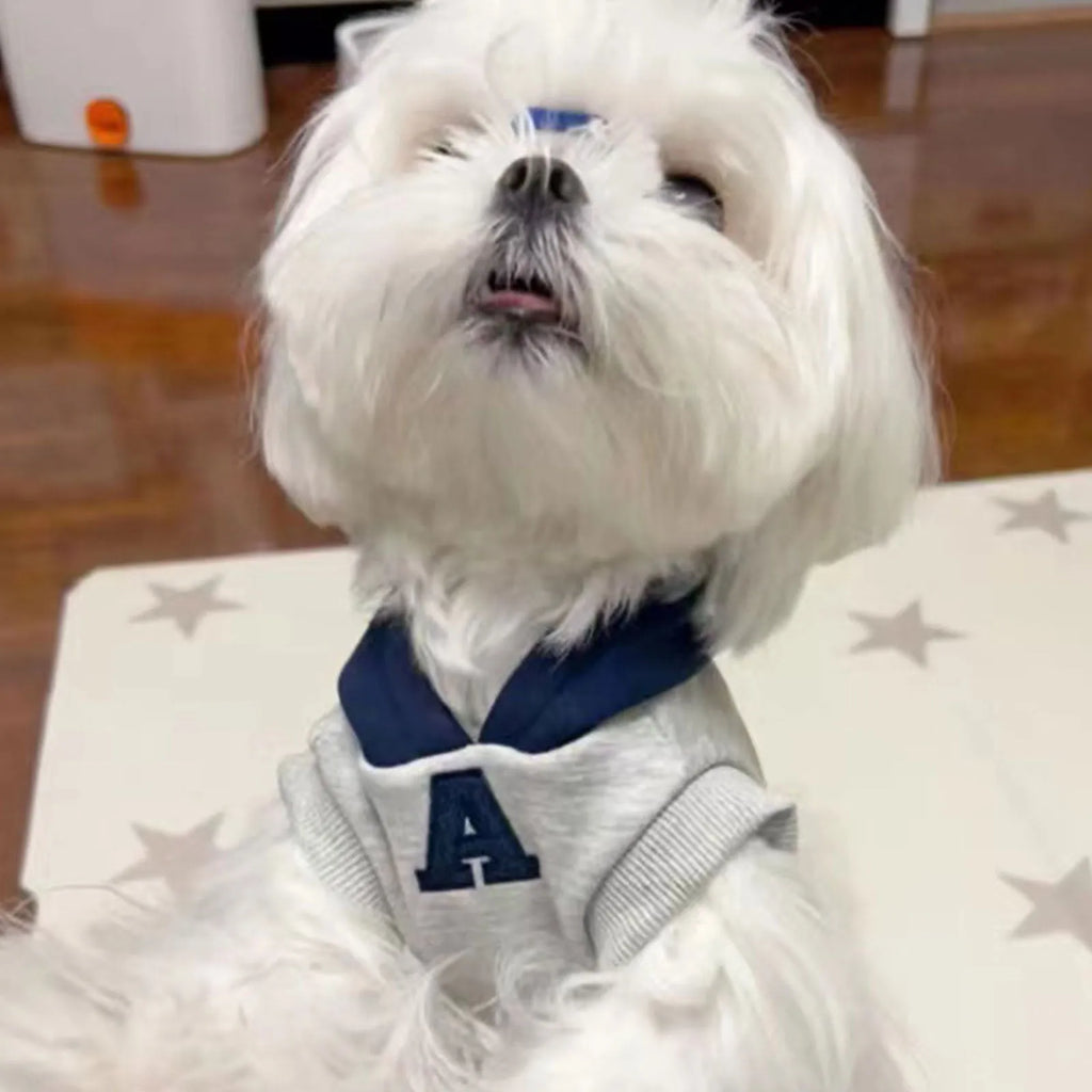 Blue and grey-white slim-fitting pet hoodie with reflective letters for cats and dogs