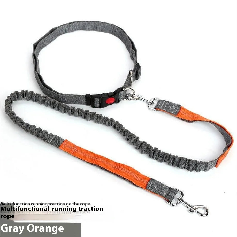 Grey and blue reflective elastic dog leash with nylon construction shown outdoors.