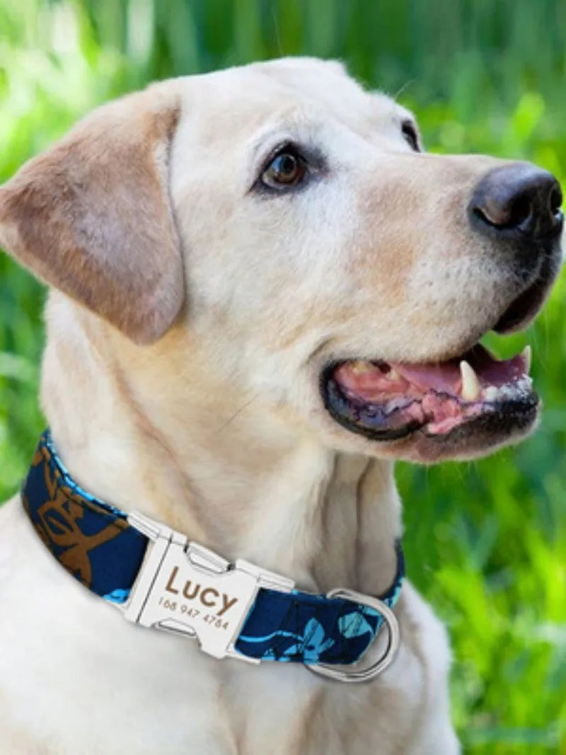 A woven nylon dog collar with a metal buckle, shown in black, green, and rose red colour options.