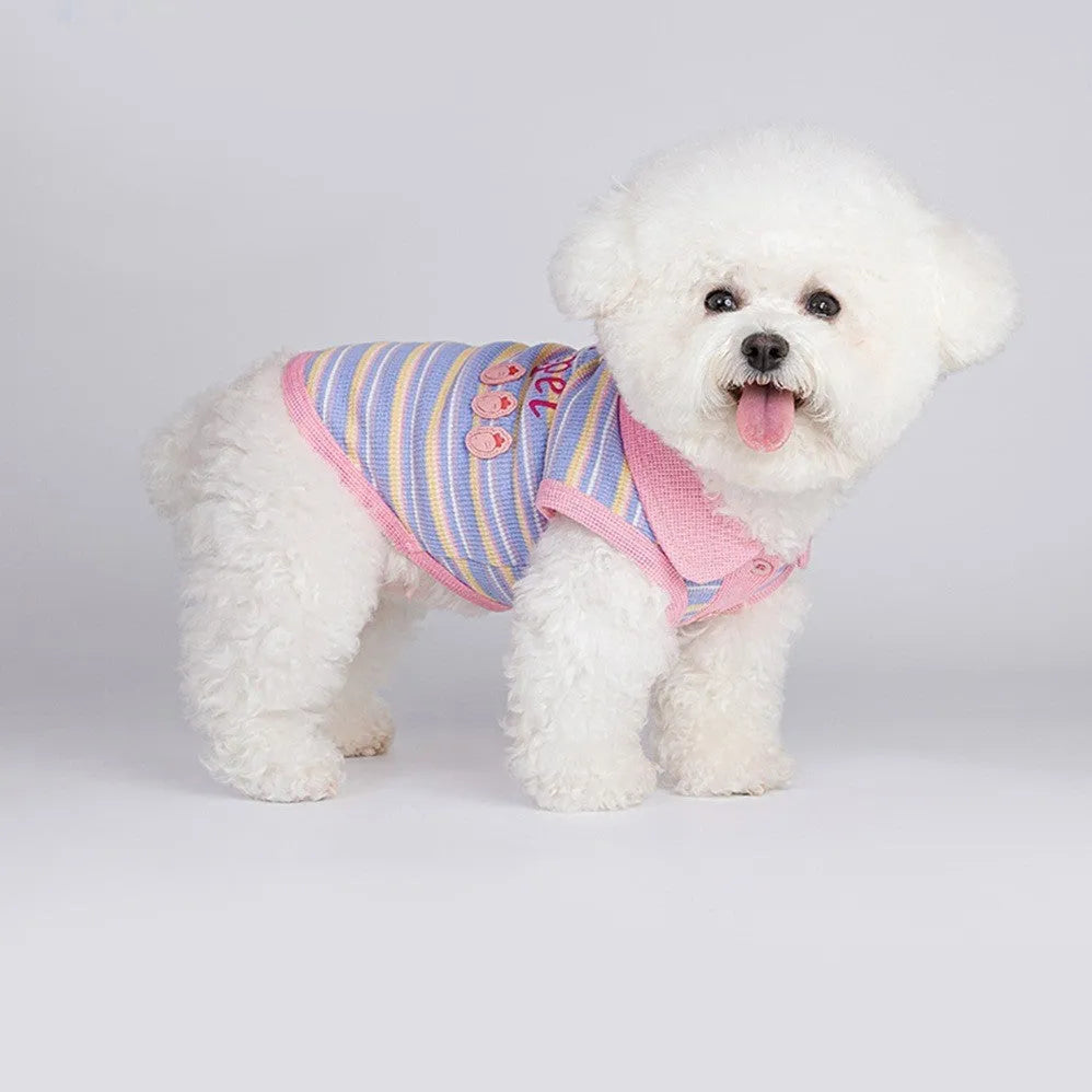 Pink purple vest for a small dog or cat, showing the autumn pet clothing on a mannequin.