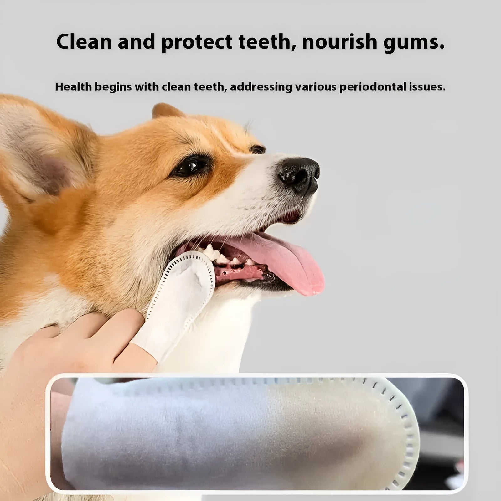 Pack of 50 disposable non-woven fabric finger cots for cleaning cat and dog teeth.