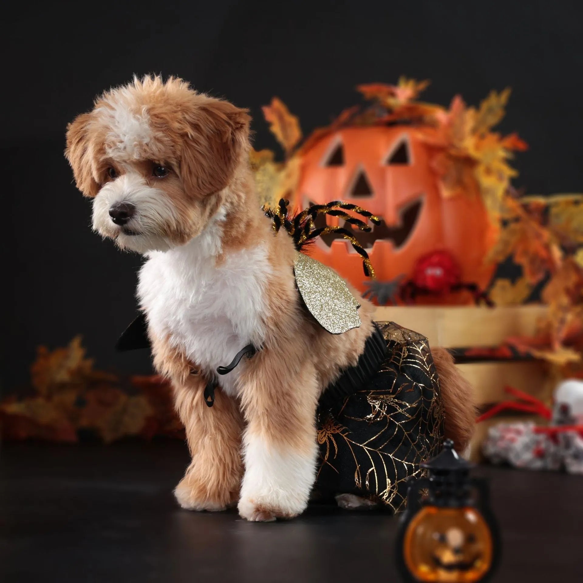 Polyester dog halloween suit costume in coordinated colour with S M L XL size options