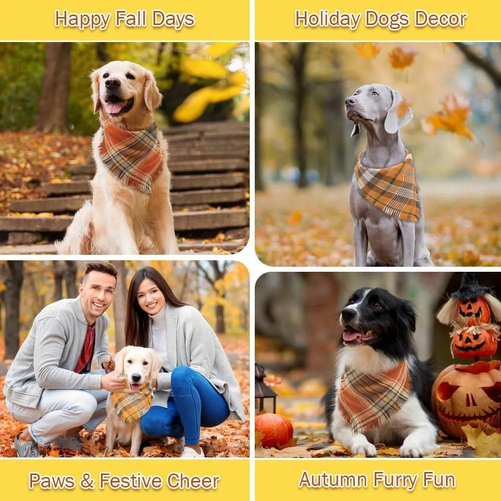 Autumn plaid dog bandana with tassel edges in seasonal colours